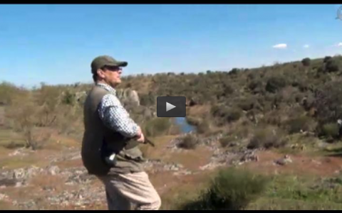 CORZOS POR CENTRO EUROPA, HOMENAJE A LA CAMPEONA DE ESPAÑA (28/06/15)