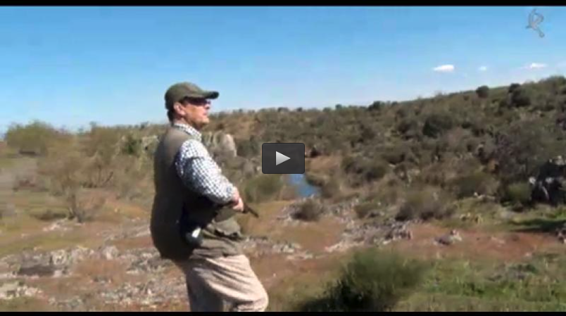 CORZOS POR CENTRO EUROPA, HOMENAJE A LA CAMPEONA DE ESPAÑA (28/06/15)