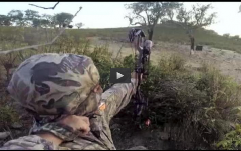 AGUARDOS EN VERANO, MUESTRAS A LA CODORNIZ EN LA SERENA, PREMIOS CARACOLAS (04/10/15)