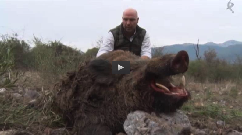 MONTERIA EN LAS FALDAS DE GREDOS, CONEJOS ENTRE VIÑEDOS Y OLIVARES (29/11/15)