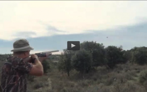 MONTERIA EN LA SIBERIA EXTREMEÑA, CAZANDO LA PERDIZ CON POINTER (27/12/15)