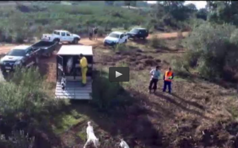 MONTERIA EN LA ROPERA, CAZANDO ZORROS EN LOS ZARZALES (07/02/16)