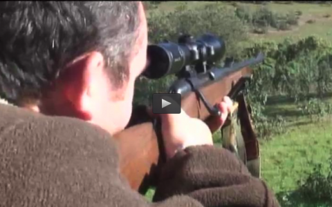 MONTEANDO CON SOPETRAN, CAZA CON PERDIGÓN Y ARCO (28/02/16)