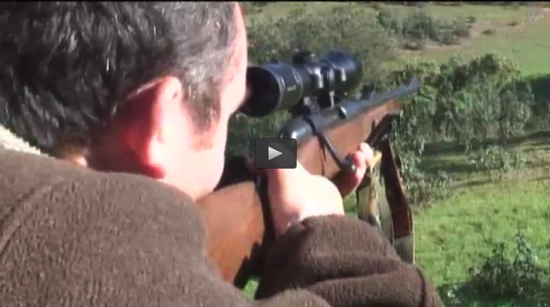 MONTEANDO CON SOPETRAN, CAZA CON PERDIGÓN Y ARCO (28/02/16)