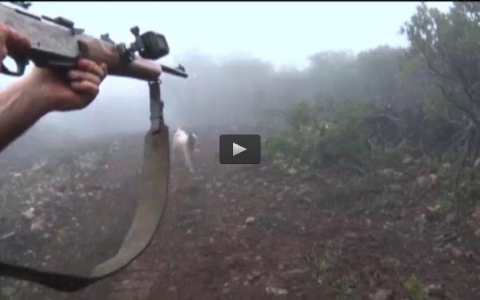 MONTERIA EN FINCA LA COVACHA, RECECHO DE MACHO CON ESTEFANIA (24/04/16)