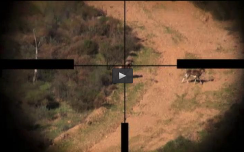 MONTEANDO EN PORTUGAL, PERDICES EN ARGENTINA (01/05/16)