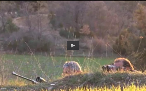 CORZOS EN LA SIERRA DE LA DEMANDA, TIRADA DE PATOS EN MERIDA (08/05/16)