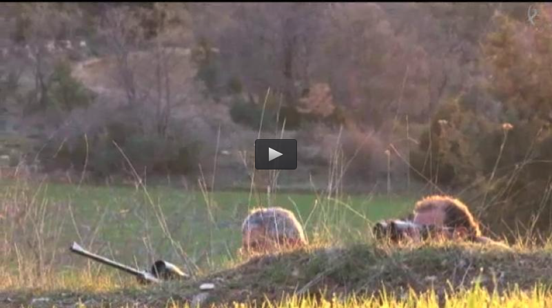 CORZOS EN LA SIERRA DE LA DEMANDA, TIRADA DE PATOS EN MERIDA (08/05/16)