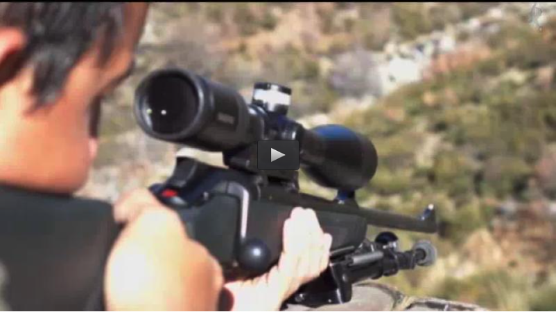 RECECHO EN GREDOS CON ARCO Y RIFLE, FAISANES EN LA ATALAYA (19/06/16)