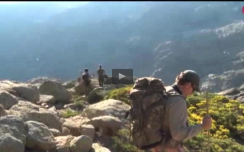 RECECHO DE MACHO EN LA PORTILLA, CARA Y CRUZ EN LAS ESPERAS DE JABALÍ (23/10/16)
