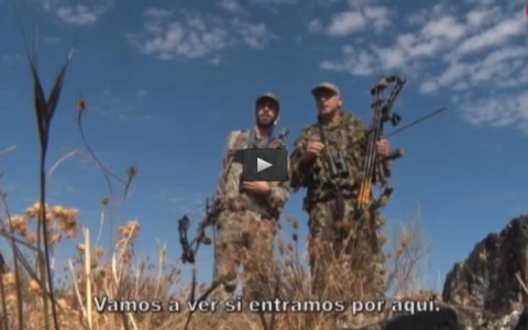 FRANCESES EN MONTERÍA, A RECECHO CONEJOS CON ARCO (30/10/16)