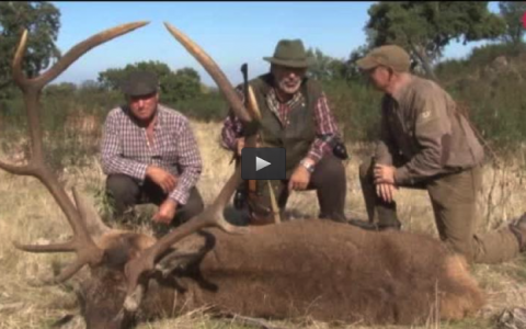 MONTERIA EN LA QUESERA, RECECHANDO CABRA MONTES BAJO LA LLUVIA (18/12/16)