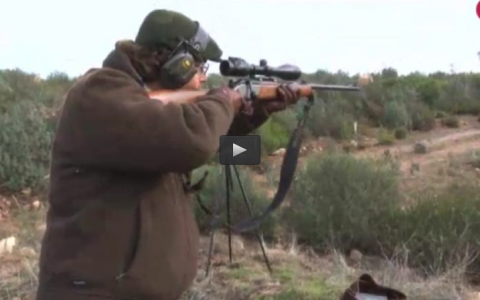 MONTERIA EN EL ACEBUCHE, CAZANDO ZORZALES AL PASO (26/02/17)