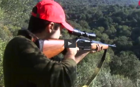 MONTEANDO EN LA PARRILLA, CONEJOS Y PERDICES EN LAS TRAVIESAS (12/03/17)