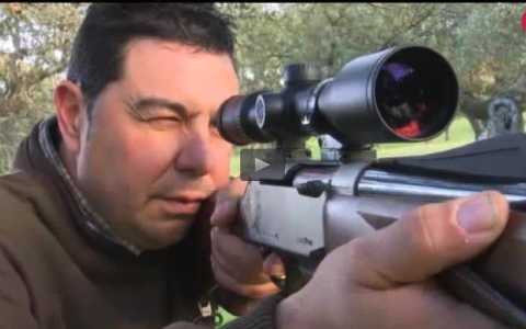 MONTERIA EN LA CALZADA, ZORZALES EN PORTUGAL (16/04/17)