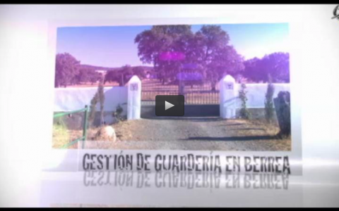 GESTION DE GUARDERIA EN BERREA, TIRADA DE PALOMAS Y PERDIZ GARRIDO, ESPERA DE JABALI (27/10/13)