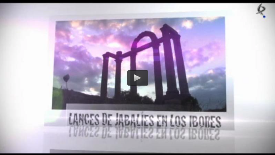 LANCES DE JABALÍES EN LOS IBORES, TIRADA DE PATOS EN EL BERCIAL (03/11/13)