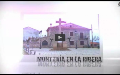 MONTERÍA EN LA RIBERA, PERROS DE COBRO EN EL OJEO (10/11/13)