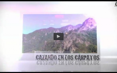 RECECHOS EN LOS CARPATOS, CAZA DEL ZORRO AL SALTO, BIOLOGIA DEL JABALI (17/11/13)