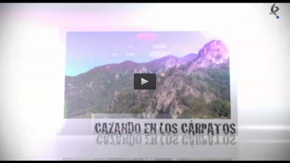 RECECHOS EN LOS CARPATOS, CAZA DEL ZORRO AL SALTO, BIOLOGIA DEL JABALI (17/11/13)