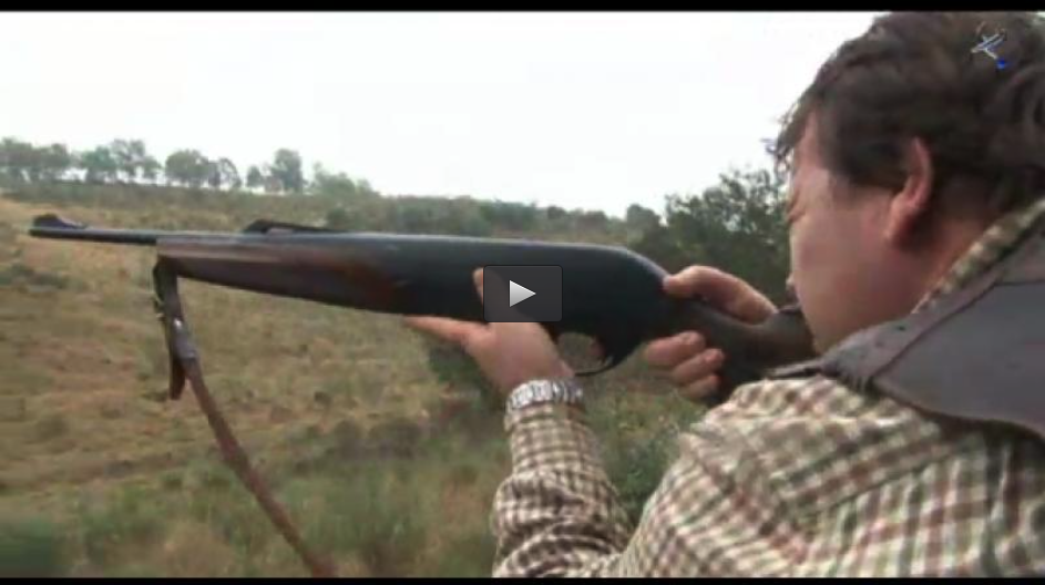 MONTERIA EN MIRAVETE, CONEJOS AL SALTO TORREQUEMADA (01/12/13)