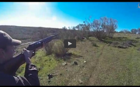 CAMPEONES DE CAZA MENOR CON PERRO (23/02/14)