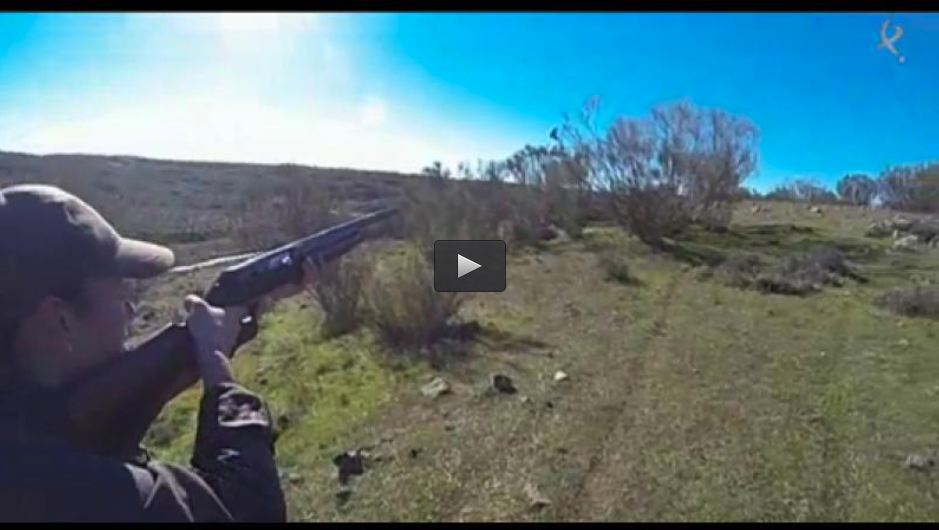 CAMPEONES DE CAZA MENOR CON PERRO (23/02/14)