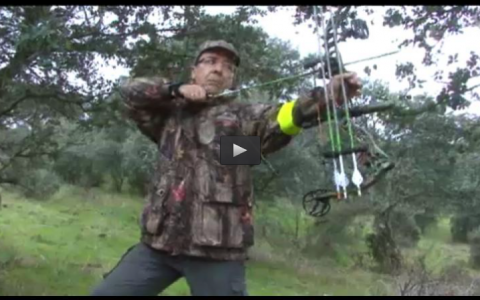DE MONTERIA CON ARQUEROS, DE OJEO CON CINEGETICA TRUJILLANA (11/05/14)