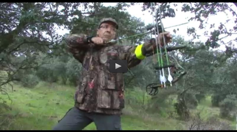 DE MONTERIA CON ARQUEROS, DE OJEO CON CINEGETICA TRUJILLANA (11/05/14)