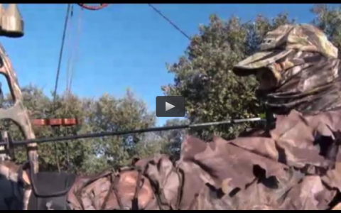 MONTERIA CON ARQUEROS, RECECHO MUFLÓN (01/03/15)