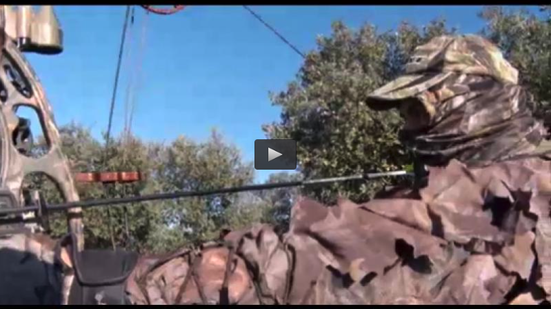 MONTERIA CON ARQUEROS, RECECHO MUFLÓN (01/03/15)