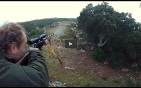 GALGOS VVA DE LA SERENA, MONTERIA LA SIERPE (08/03/15)