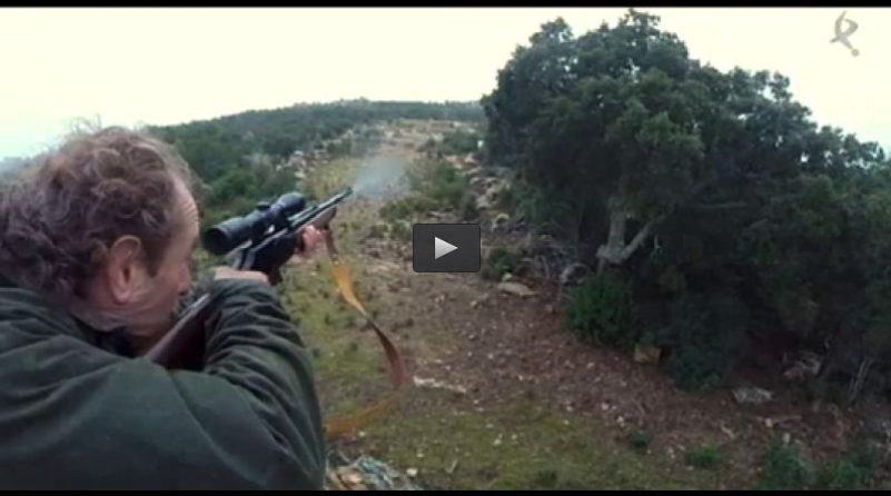 GALGOS VVA DE LA SERENA, MONTERIA LA SIERPE (08/03/15)