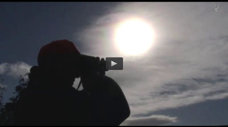 MONTERIA LA COVACHA, PATOS CON CAZEX (15/03/15)