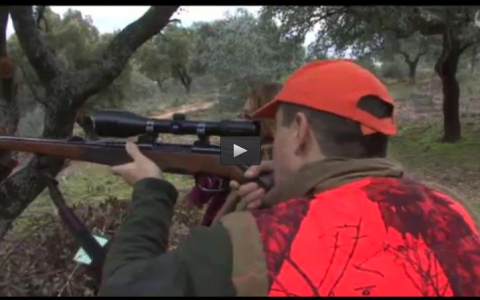 MONTERIA EN VALDEOBISPO, FERIA CINEGETICA 2015 (19/04/15)