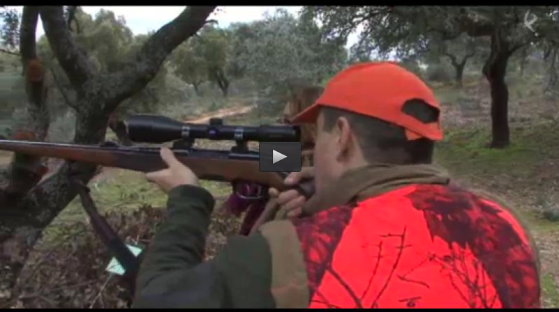 MONTERIA EN VALDEOBISPO, FERIA CINEGETICA 2015 (19/04/15)