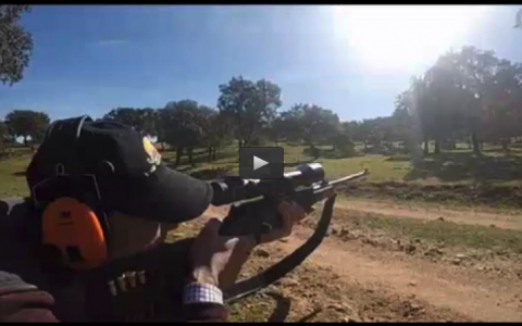 MONTERIA EN LA RUDA Y EL MORO, PALOMAS EN ENCINA (10/05/15)