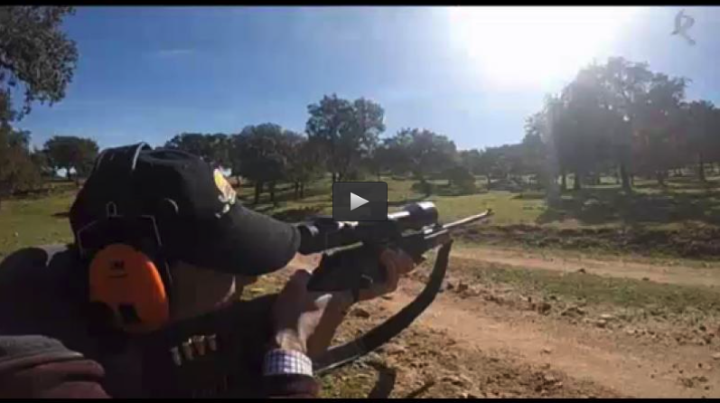 MONTERIA EN LA RUDA Y EL MORO, PALOMAS EN ENCINA (10/05/15)