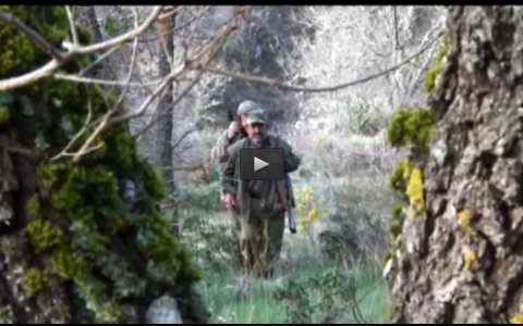 RECECHOS DE CORZOS CON COTO STA. MARTA, TIRADA DE PERDICES Y FAISANES (17/05/15)