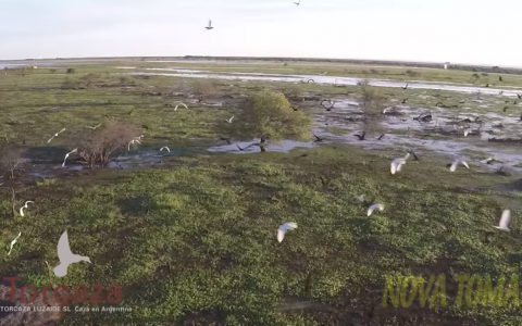 TORCAZA El Paraiso de la Caza Menor en Argentina