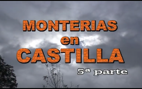 MONTERIAS EN CASTILLA (parte 5)