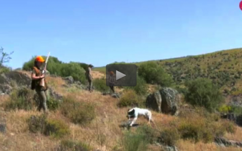 CAZADORAS EN LA ATALAYA, RECECHANDO CABRAS CON JOVENES MONTEROS (18/06/17)