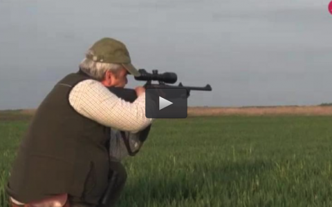 CAZANDO EN LOS LLANOS Y BOSQUES HUNGAROS (04/06/17)