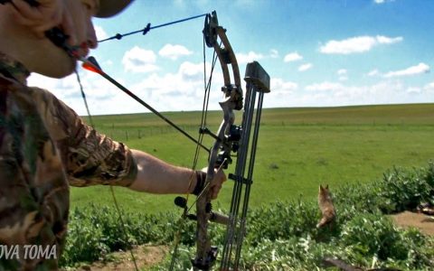 Caza con Arco - Bowhunting