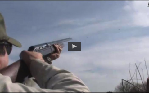 TIRADA DE PATOS EN LA ALBUERA, LANCE A DEBATE, CIERVOS IBERICOS?, CONVIVENCIA CINEGÉTICA (12/05/13)