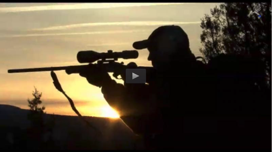 CORZO, EL REY DEL RECECHO, CIMBELEANDO A LAS TORCACES (02/06/13)