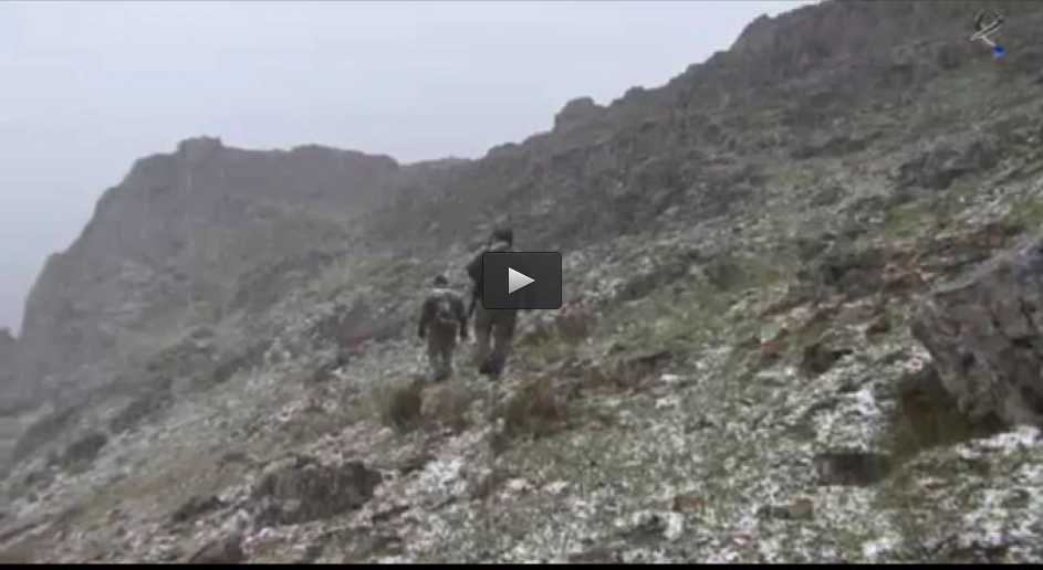 REBECOS EN LOS PICOS DE EUROPA, BIOLOGIA DEL JABALI MAYO Y JUNIO (23/06/13)