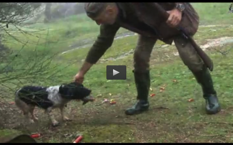 MONTERIA EN CARNAVALES, ZORZALES EN LA NIEBLA, RESERVA REGIONAL LA SIERRA (10/02/13)