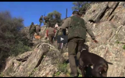 DE MONTERÍA CON PUEBLA Y ESTELLEZ, PERDIZ AL SALTO (10/03/13)