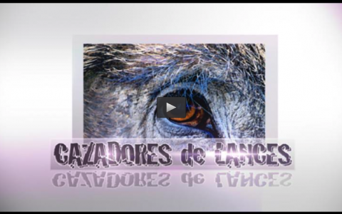 ESPECIAL FECIEX (22/09/13)